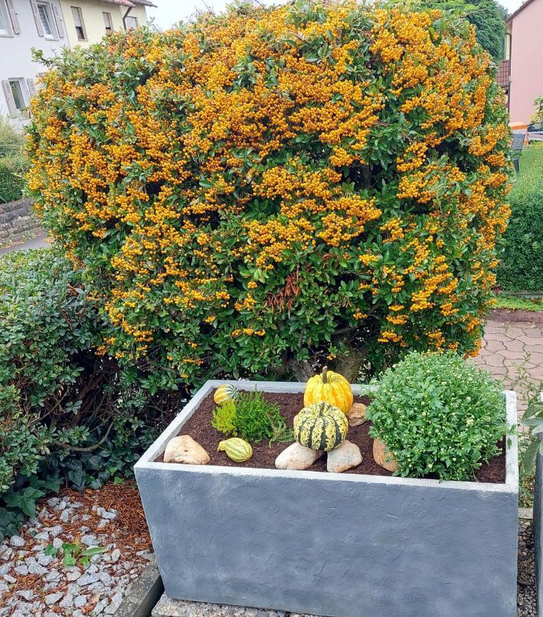 Ferienwohnung "Auszeit" Hofheim in Unterfranken Ngoại thất bức ảnh